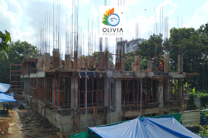 Olivia Projects