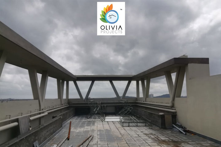 Olivia Projects