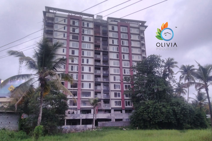 Olivia Projects