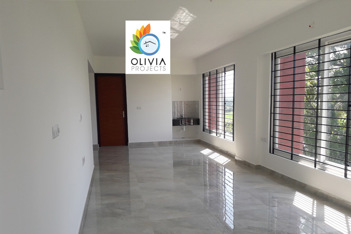 Olivia Projects