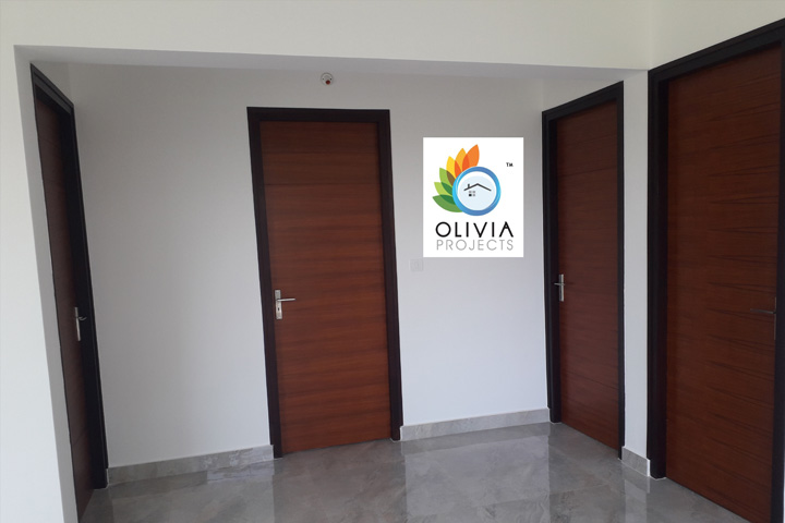 Olivia Projects