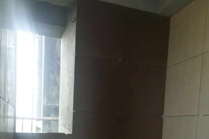Olivia Projects