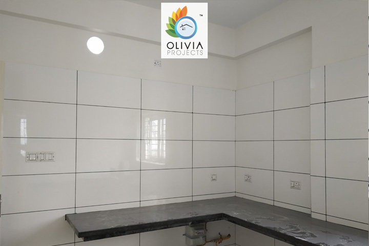 Olivia Projects