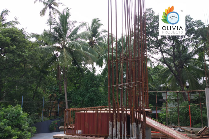 Olivia Projects