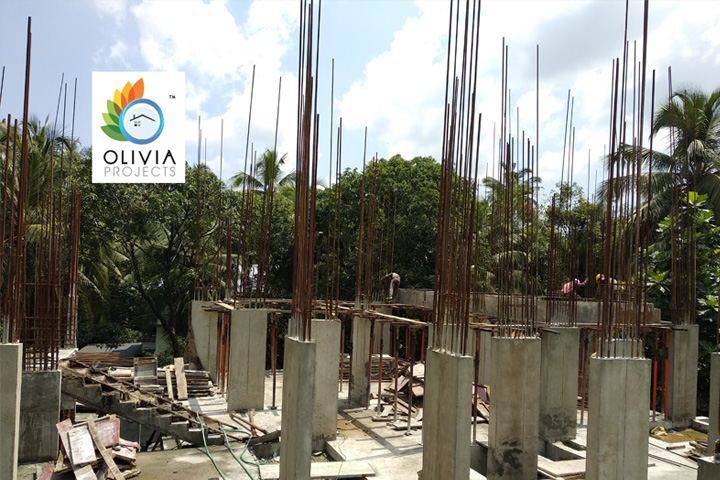 Olivia Projects