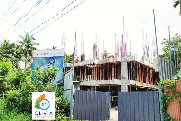 Olivia Projects