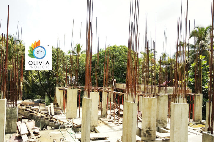 Olivia Projects