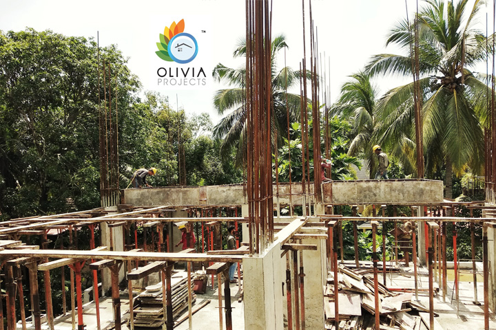 Olivia Projects